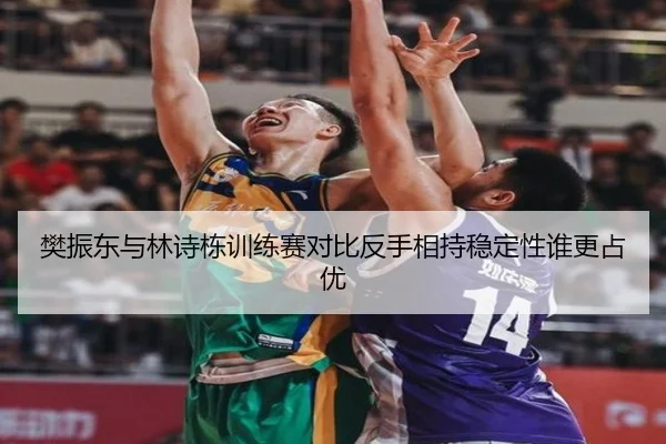 樊振东与林诗栋训练赛对比反手相持稳定性谁更占优